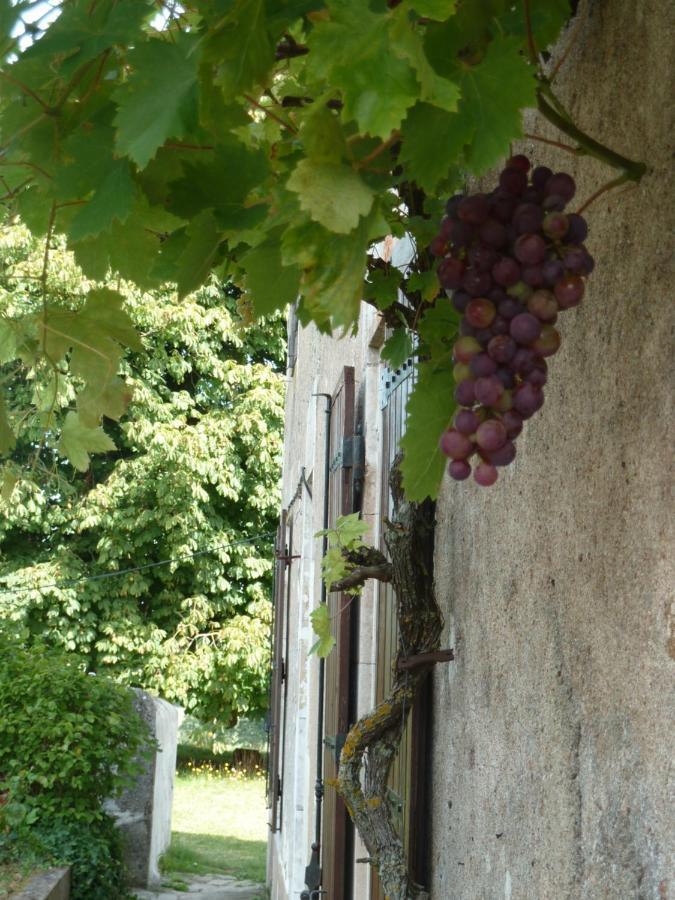 A L'Ombre Du Marronnier Gites La Peruse Eksteriør billede