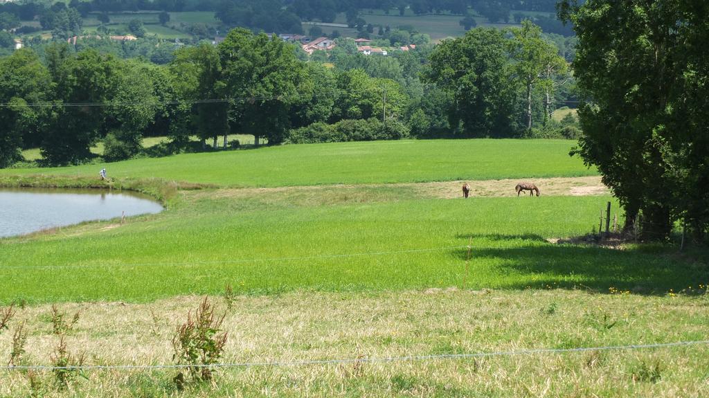 A L'Ombre Du Marronnier Gites La Peruse Eksteriør billede