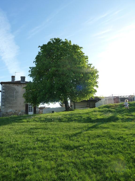 A L'Ombre Du Marronnier Gites La Peruse Eksteriør billede